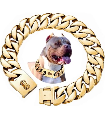 Amazon.com : BAOBOTE Gold Chain Dog Collar with Secure Snap Buckle